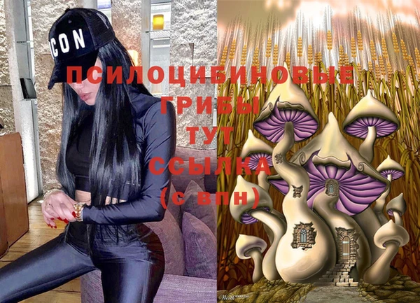 не бодяженный Абинск