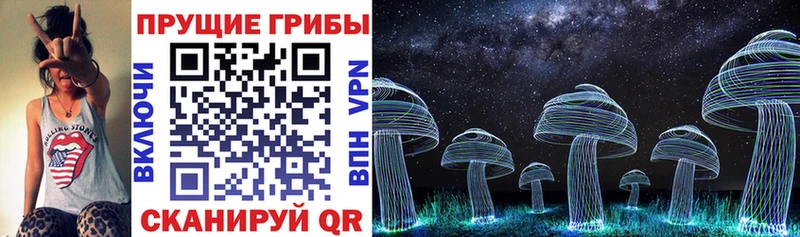 Галлюциногенные грибы GOLDEN TEACHER  Торжок 
